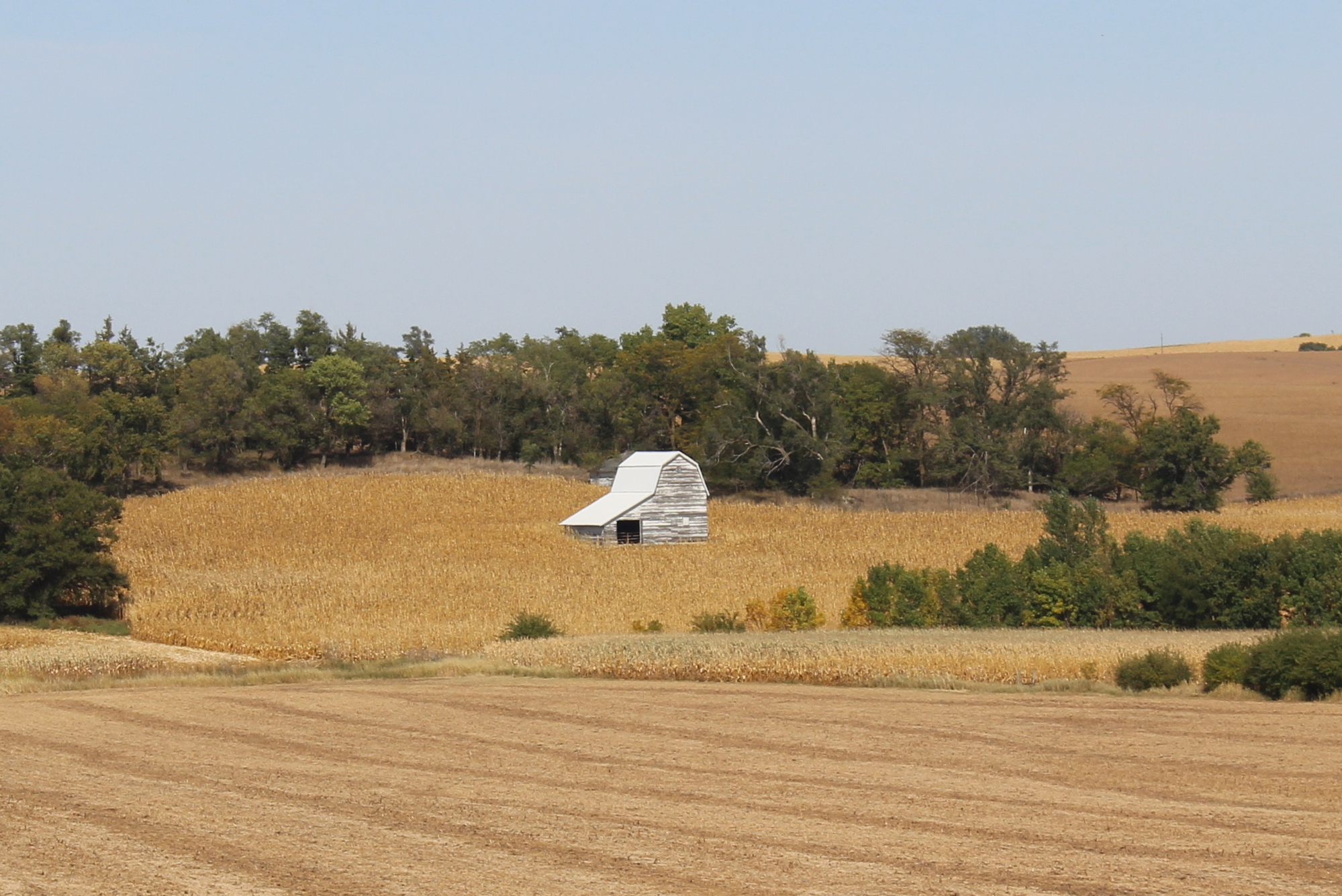 Day Twentyone Albion, Nebraska to Wisner, Nebraska Summer's Almost Gone CycleBlaze