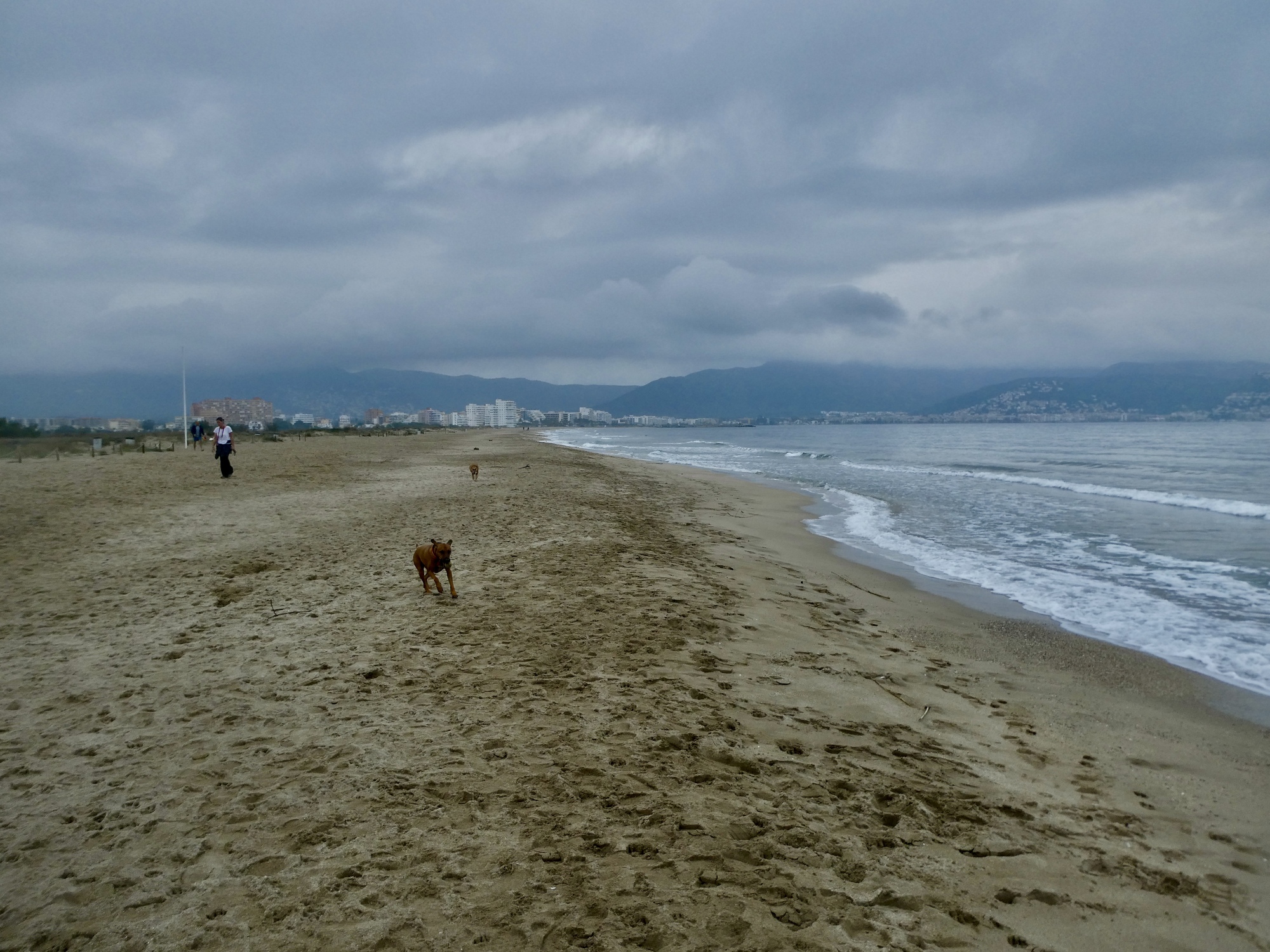 In Roses Aiguamolls Natural Park The Seven Year Itch CycleBlaze