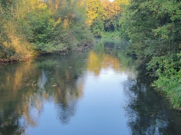 Day 11 Eurovelo 15 the Rhine - 4694te19d42b2ju2ed1sbgisg3i 2000 