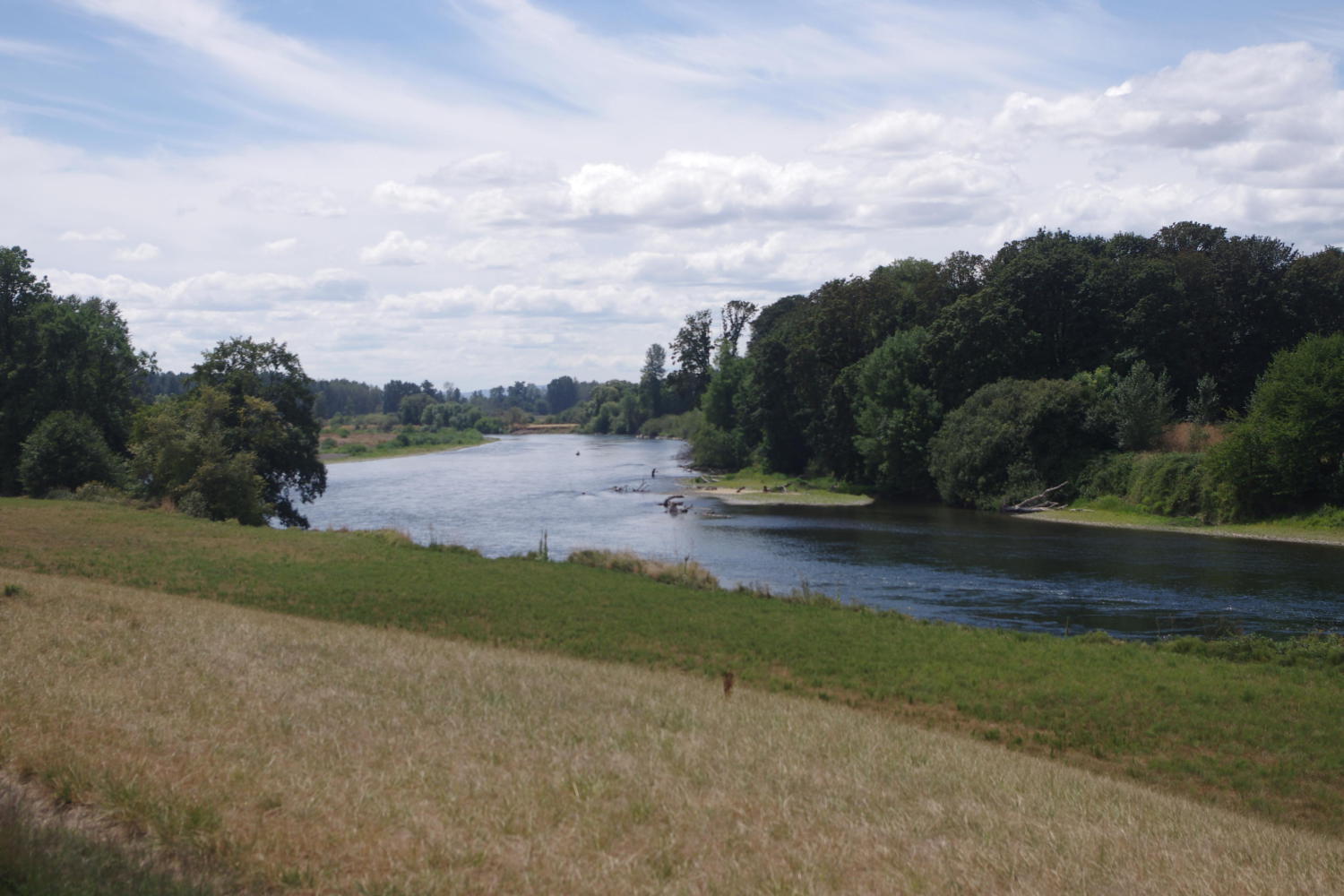 Day 40: Willamina to Harrisburg; The Willamette Valley - Transam, Both ...