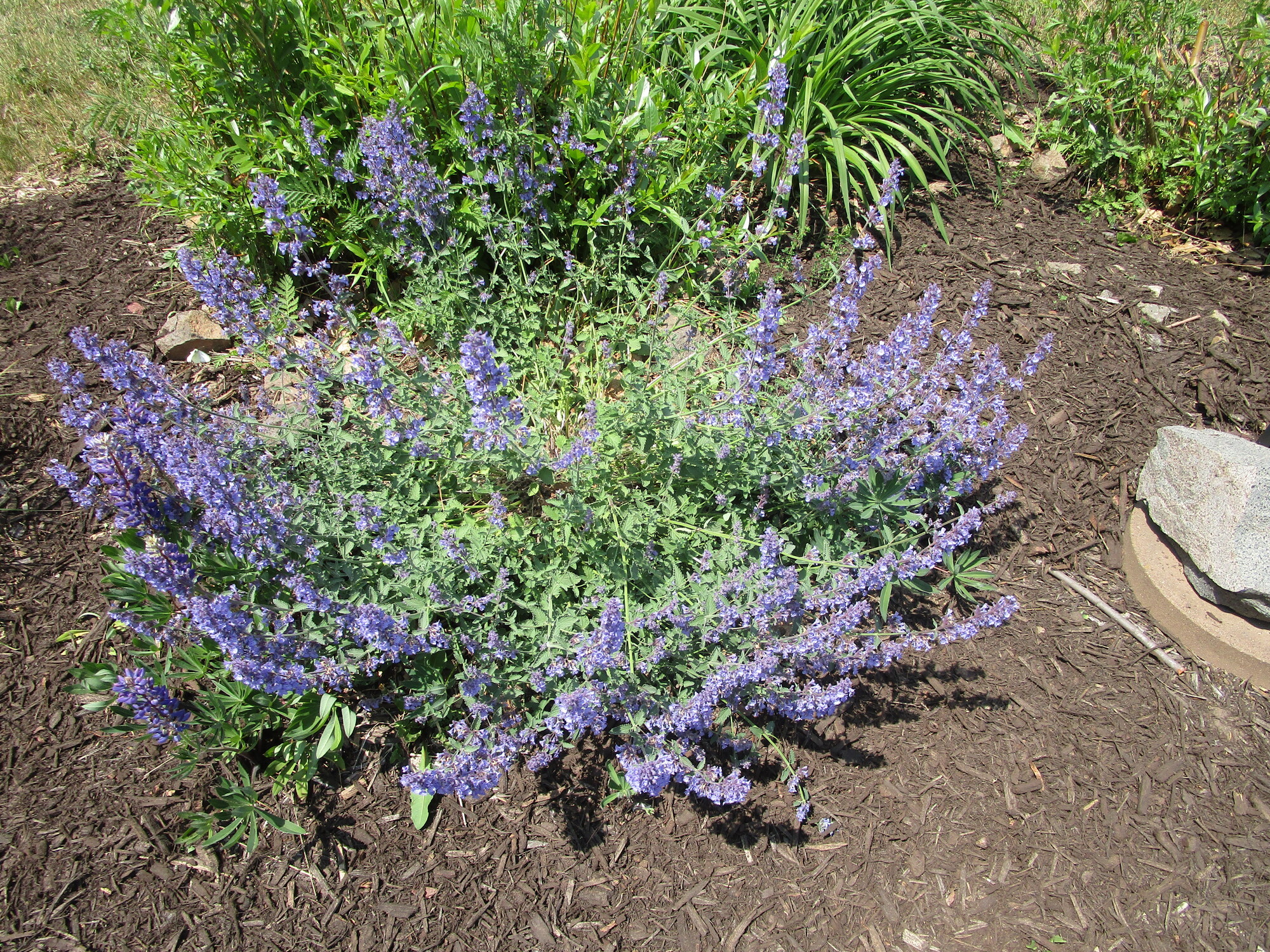 Day 065 L'Anse to Houghton Two Far 2023 Oranges to Apples