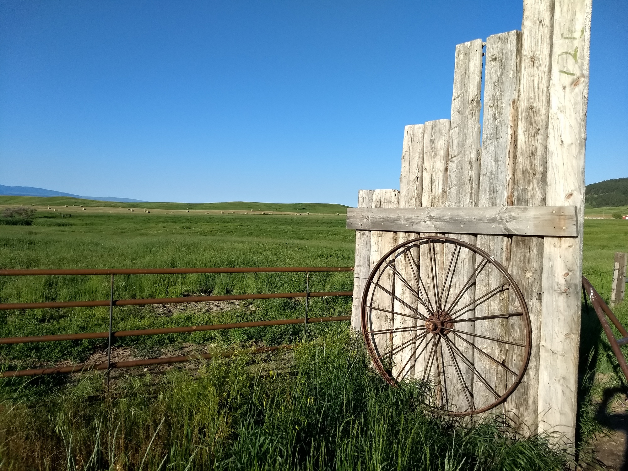 Lewistown to Denton Tailwinds and Teddy Bears Undaunted Porridge