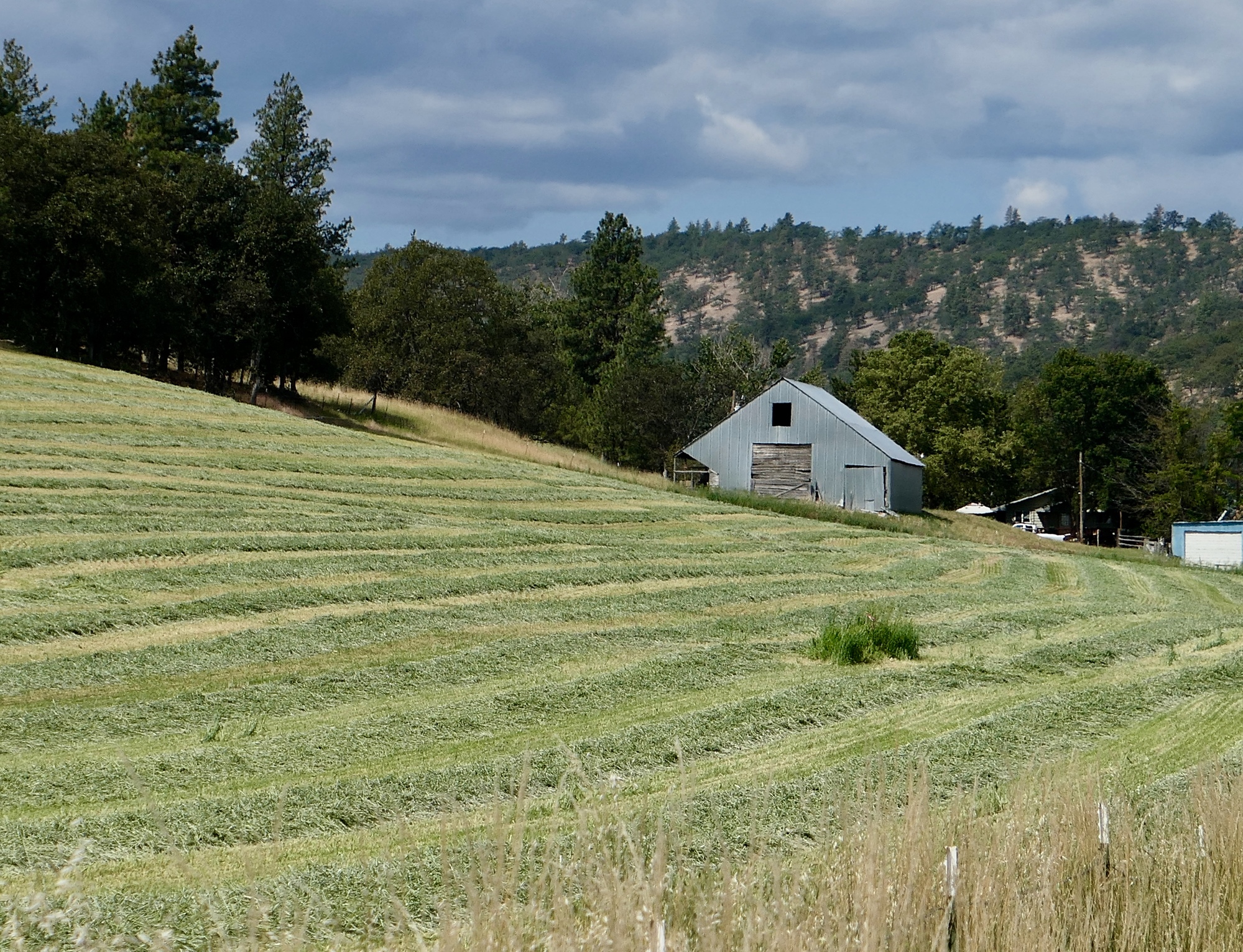 A weekend in Dufur Dufur Valley Road Northwest Passages Victoria to
