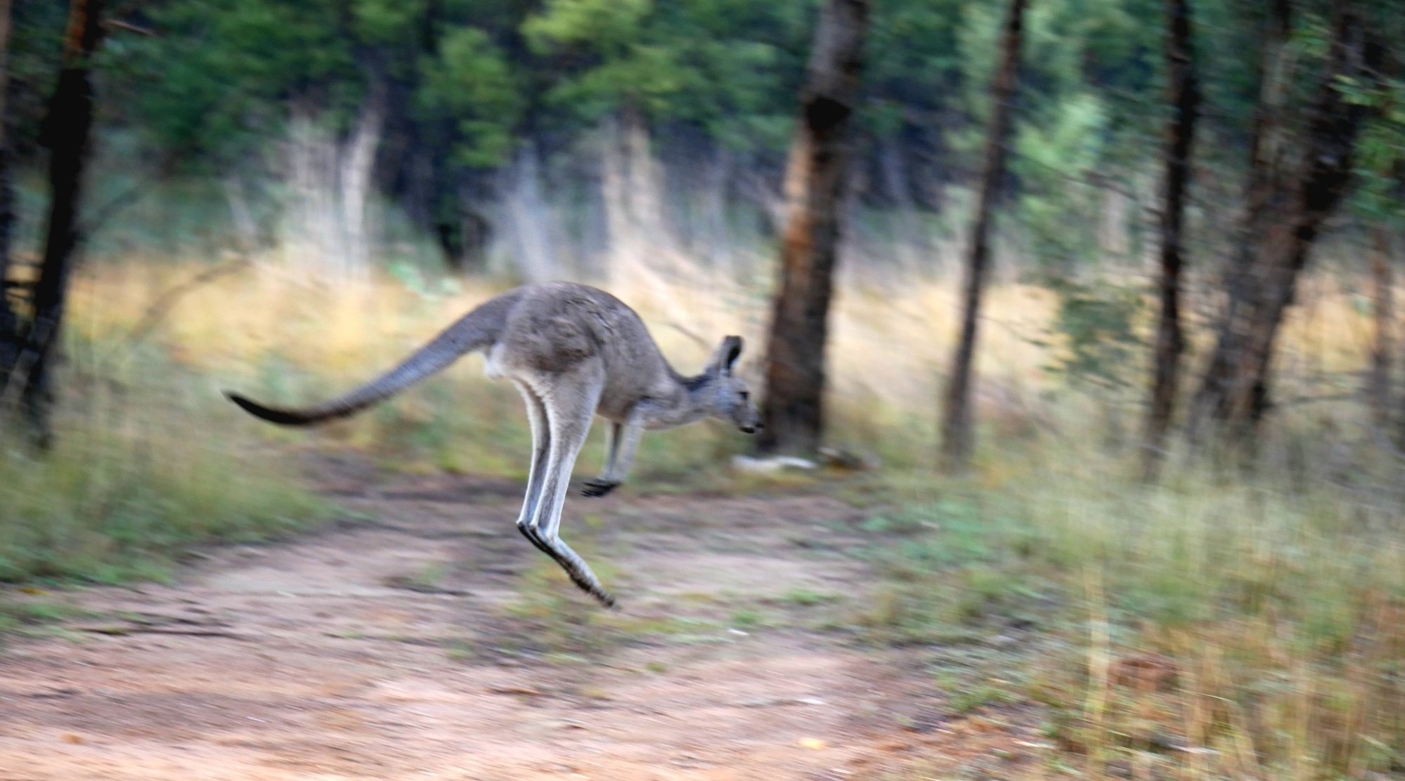Gulargambone - The fifteenth step ... Four months in Australia - CycleBlaze