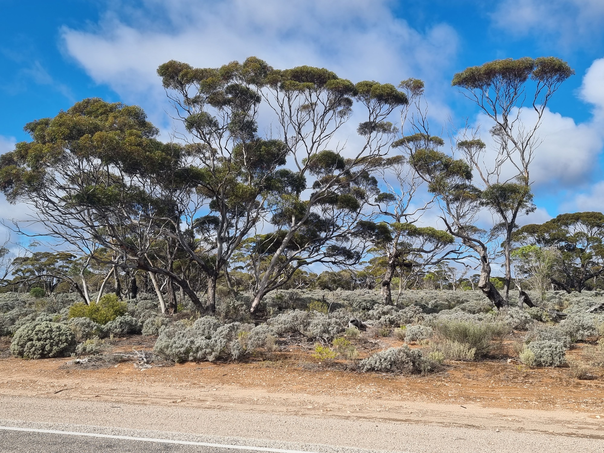 Nullabor Road House And Then Nundroo Roadhouse
