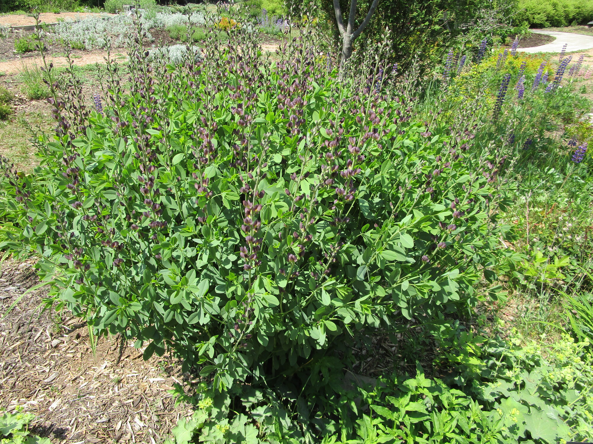 Day 065 L'Anse to Houghton Two Far 2023 Oranges to Apples