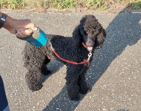 Day 11 Eurovelo 15 the Rhine - Fgpq83kzn5yke32ygnlb7kxmtnh 2000 