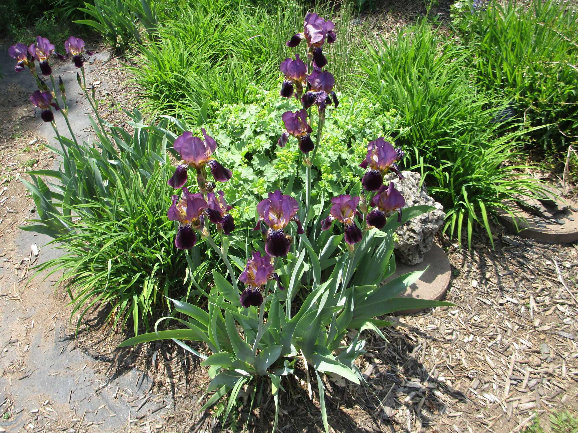Day 065 L'Anse to Houghton Two Far 2023 Oranges to Apples