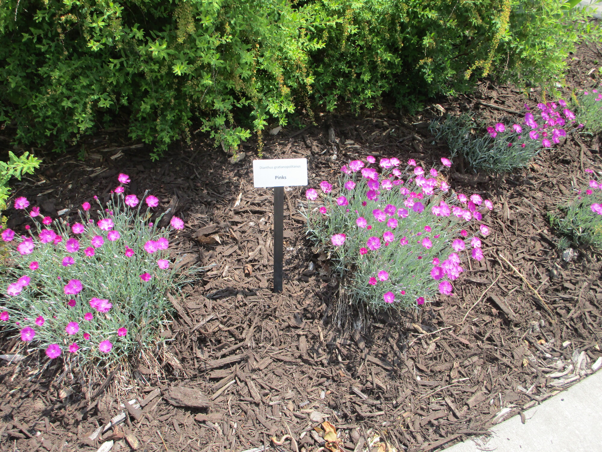 Day 065 L'Anse to Houghton Two Far 2023 Oranges to Apples