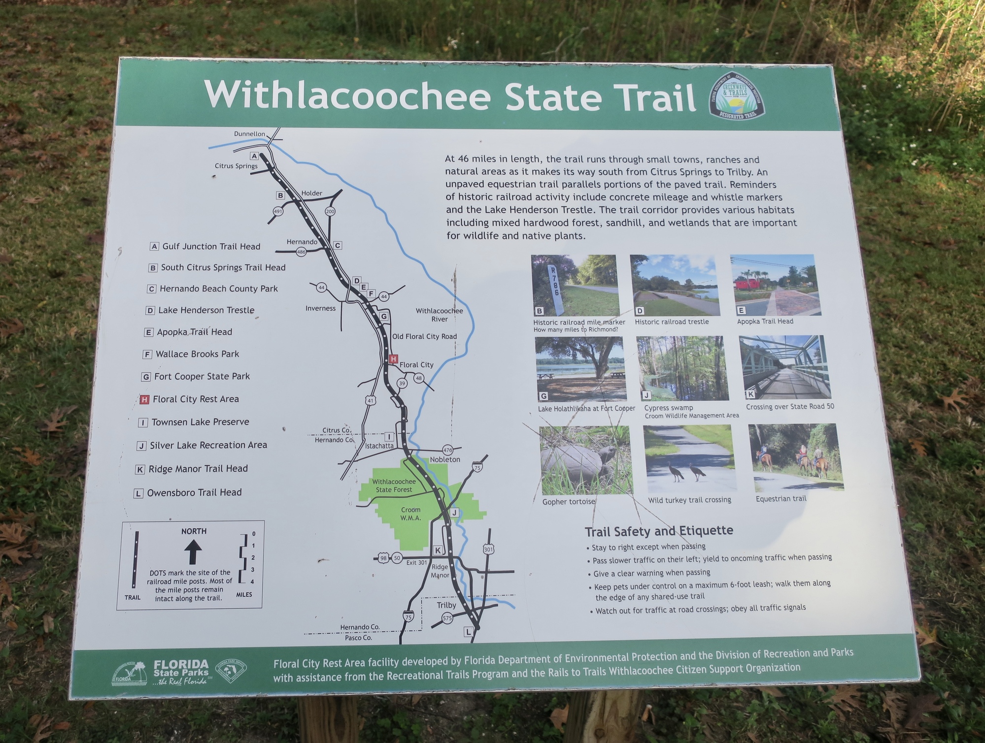 Heading south on the Withlacoochie Trail Tally Gals Bike Adventures