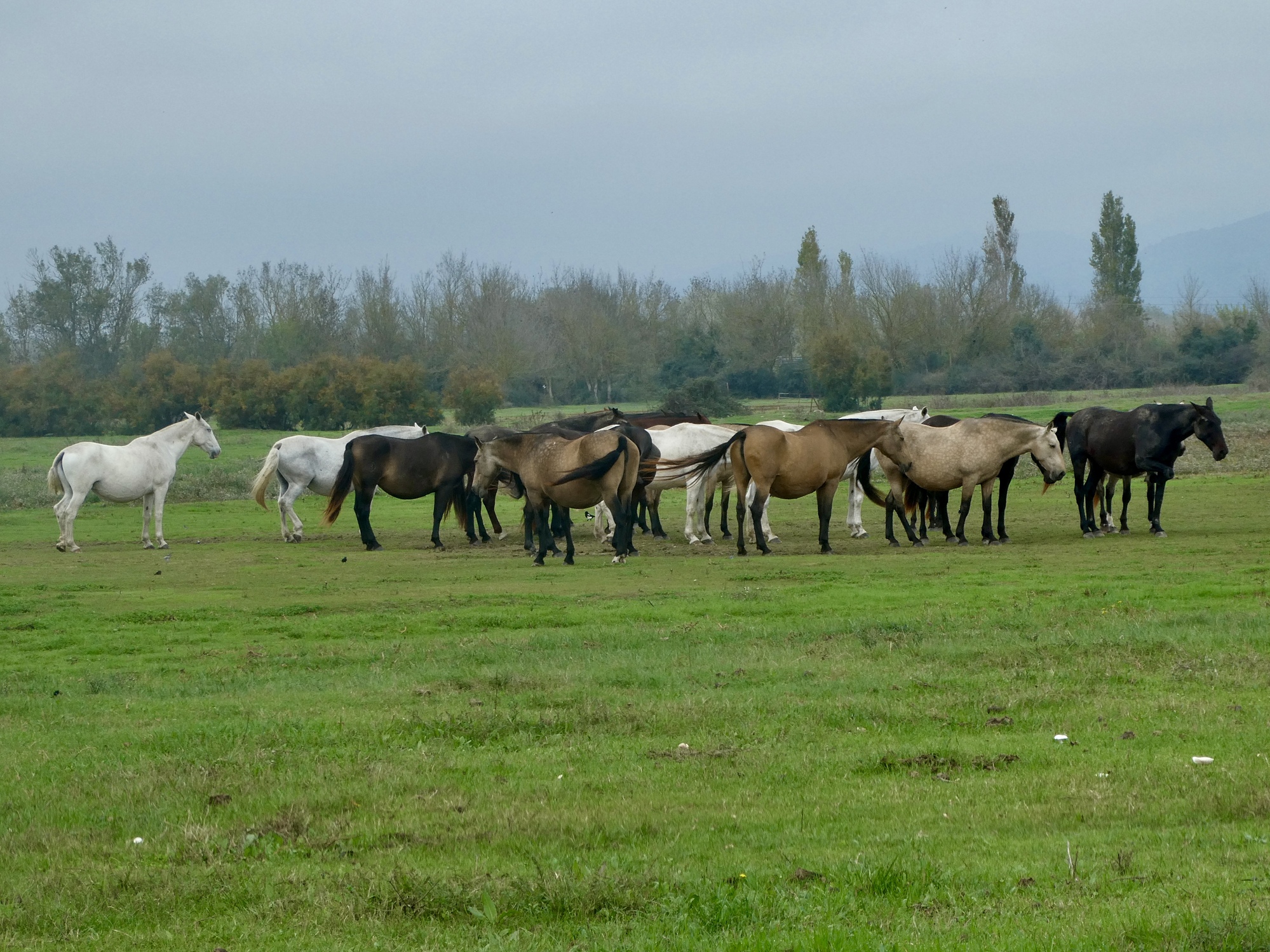 In Roses Aiguamolls Natural Park The Seven Year Itch CycleBlaze