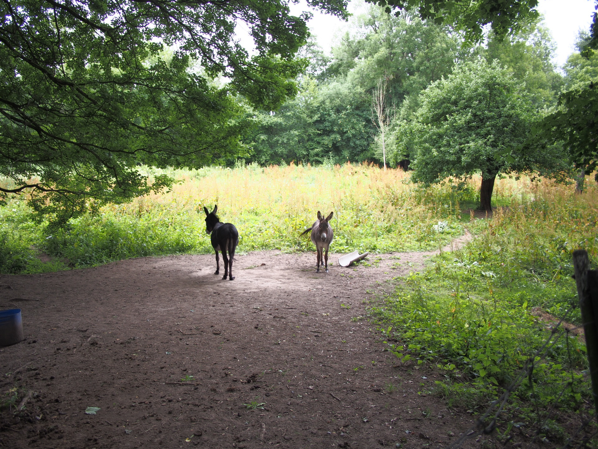 Towpaths and Rail Trails - So Many French Rivers: A Loop of Eastern ...
