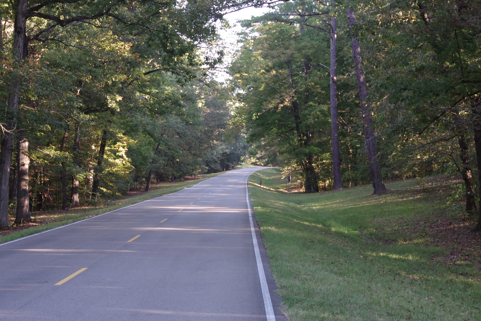 Day 10 Mathiston, MS (Mathiston Motel) to Tupelo, MS (Quality Inn