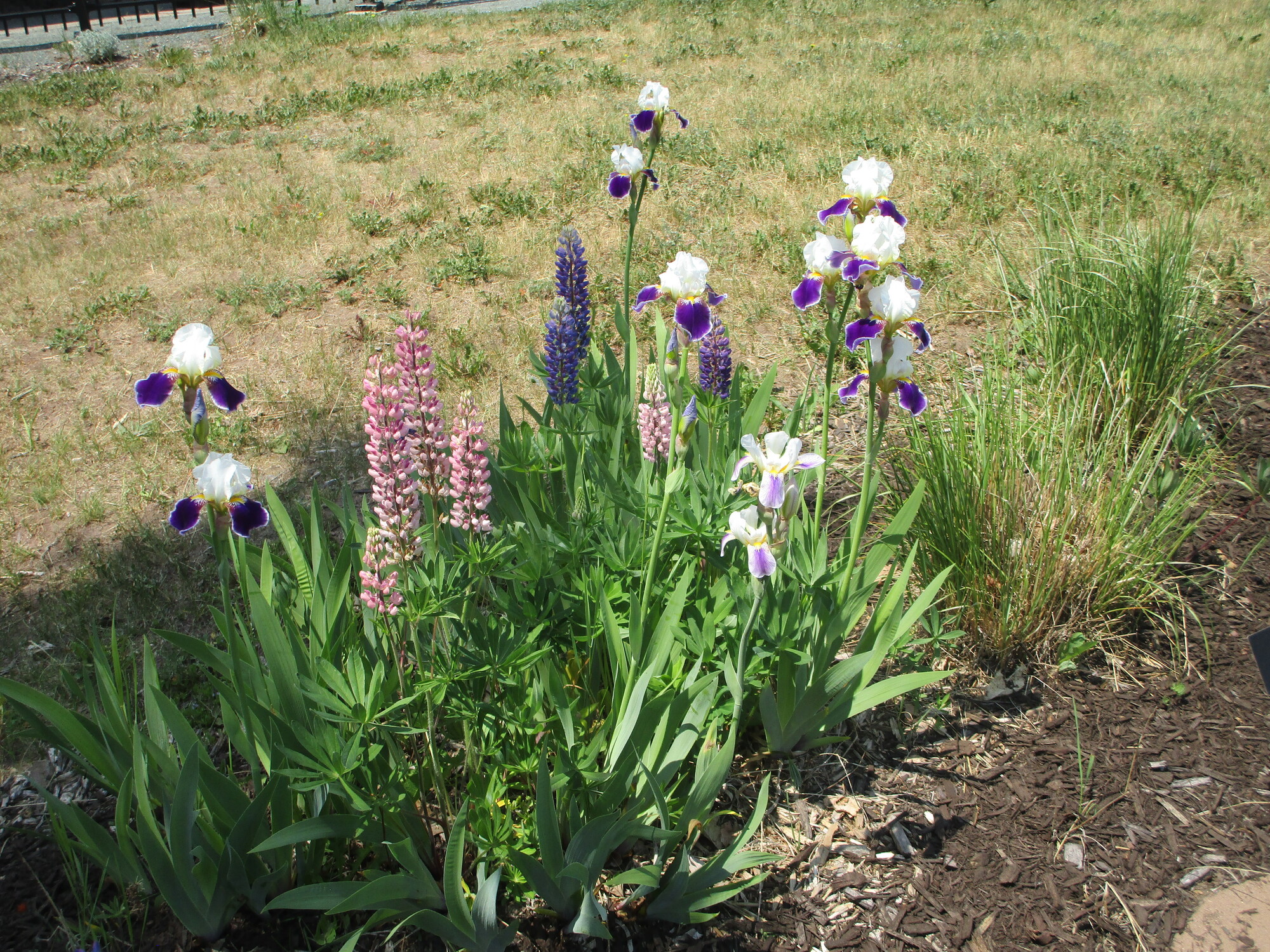 Day 065 L'Anse to Houghton Two Far 2023 Oranges to Apples